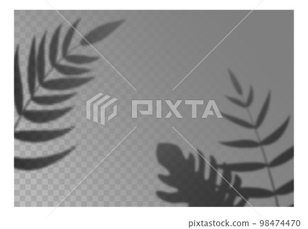 Realistic leaves shadow. Overlay effect, tropical plant branch, palm leaf. Soft light on room wall. Monochrome floral background for poster and banner. Botanical elements. Vector illustration Realistic leaves shadow. Overlay effect, tropical plant branch, palm leaf. Soft light on room wall. Monochrome floral background for poster and banner. Botanical elements. Vector illustration 98474470