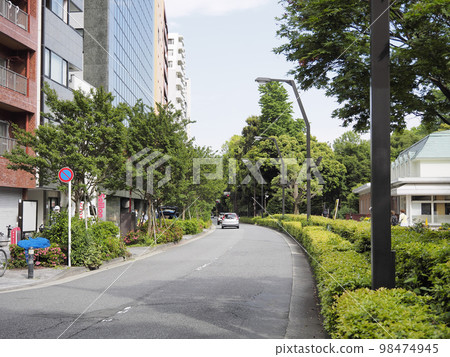 東京的街道兩旁綠樹成蔭,建築林立 東京的街道兩旁綠樹成蔭,建築林立 98474945