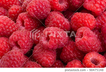 background of red raspberries close-up 98475148