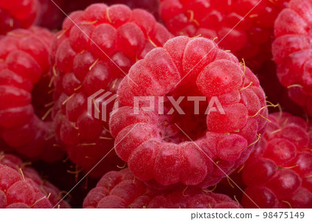 background of red raspberries close-up background of red raspberries close-up 98475149