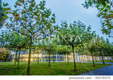 Garden in potted plants with autumn leaf color , red leaves, next to factory in Leverkusen and old building in distance Garden in potted plants with autumn leaf color , red leaves, next to factory in Leverkusen and old building in distance 98476970