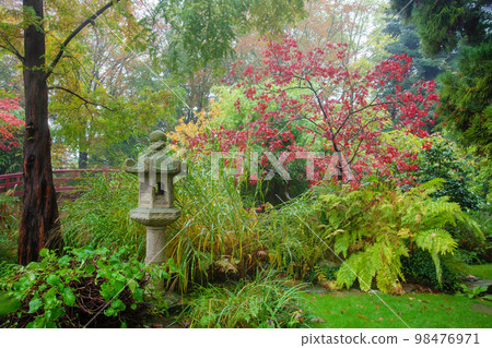 Amazing foggy landscape in Japnese garden in Leverkusen Amazing foggy landscape in Japnese garden in Leverkusen 98476971