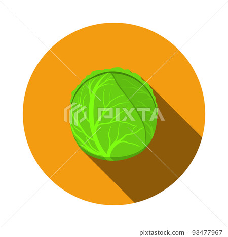 Cabbage Icon 98477967