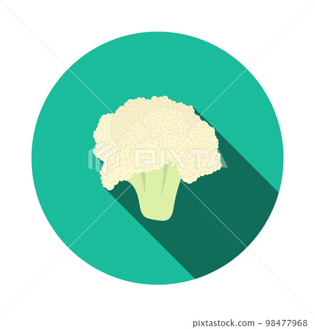 Cauliflower Icon Cauliflower Icon 98477968