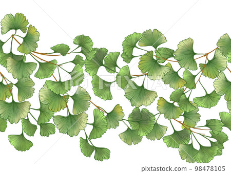 Ginkgo biloba leaves. Seamless pattern, background. 98478105