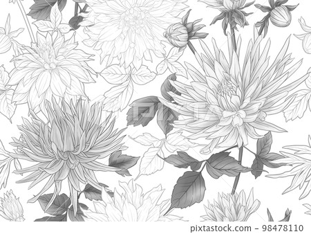 Dahlias flowers, outline Vector illustration. Dahlias flowers, outline Vector illustration. 98478110