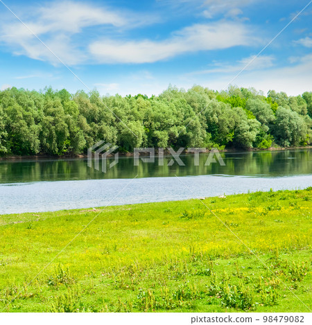 River and green hills with blooming wild flowers and trees at summer day. 98479082