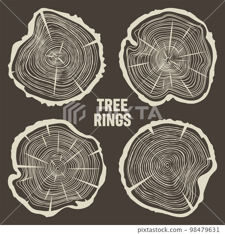 Round tree trunk cuts with cracks, sawn pine or oak slices, lumber. Saw cut timber, wood. Brown wooden texture with tree rings. Hand drawn sketch. Vector illustration Round tree trunk cuts with cracks, sawn pine or oak slices, lumber. Saw cut timber, wood. Brown wooden texture with tree rings. Hand drawn sketch. Vector illustration 98479631