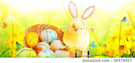 Little cute newborn baby chick for Easter celebration. Little cute newborn baby chick for Easter celebration. 98479957