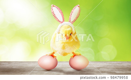 Little cute newborn baby chick for Easter celebration. Little cute newborn baby chick for Easter celebration. 98479958