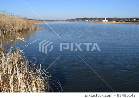 八田川流入茨城縣牛沼市 八田川流入茨城縣牛沼市 98480142