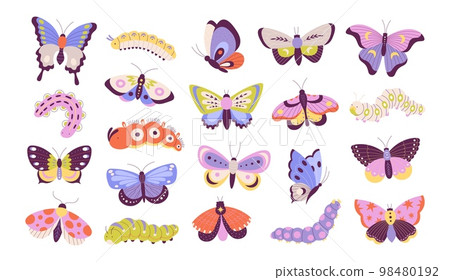 Colorful doodle butterfly and caterpillars. Moth, cartoon floral garden insects. Amazing isolated butterflies, isolated flying racy insect vector set Colorful doodle butterfly and caterpillars. Moth, cartoon floral garden insects. Amazing isolated butterflies, isolated flying racy insect vector set 98480192