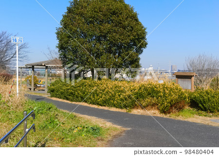 2023 年 1 月千葉縣松戶市 Yagiri no Watashi 周圍的風景 2023 年 1 月千葉縣松戶市 Yagiri no Watashi 周圍的風景 98480404