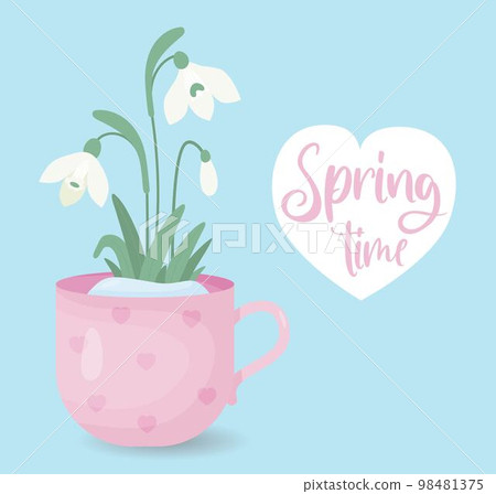 Spring time. Blooming snowdrops flowers in spring cup. Gentle forest white flower common snowdrop. Vector illustration in flat style. For design, decoration and printing. 98481375