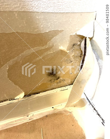 Mold on the wall due to water leakage 98481509