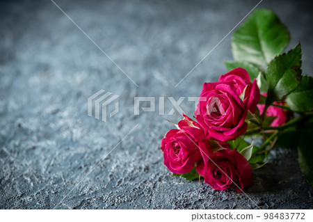玫瑰花室內攝影 98483772