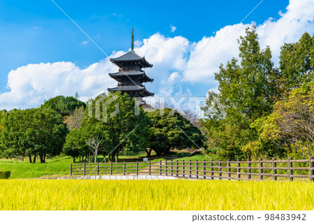 岡山縣備中文寺五層塔遠景 岡山縣備中文寺五層塔遠景 98483942