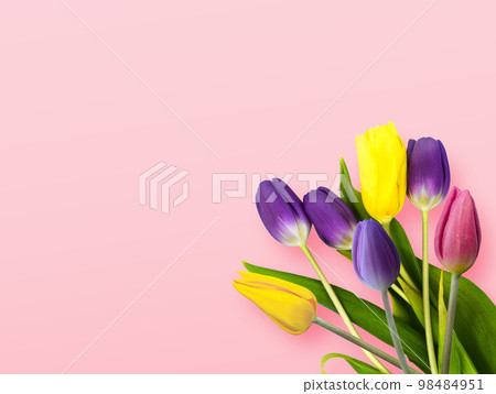 Top view with colorful tulips on pink background. 98484951