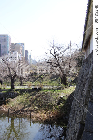 福岡城跡第 5 號護城河風景 98485249