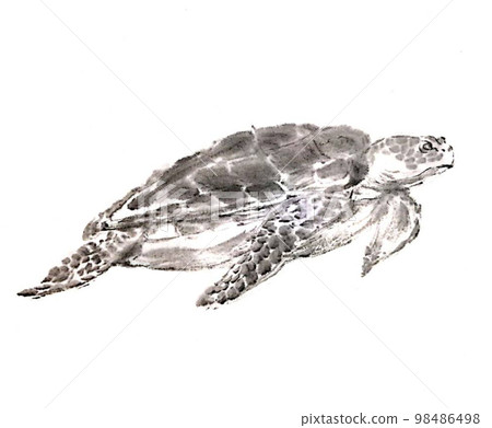 海龜 海龜 98486498