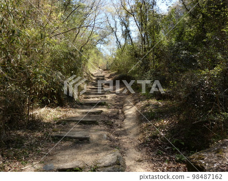 通往山脊線的手工樓梯 98487162