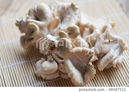 Grey oyster mushroom on wooden background, fresh raw oyster mushroom for cooking food Grey oyster mushroom on wooden background, fresh raw oyster mushroom for cooking food 98487512