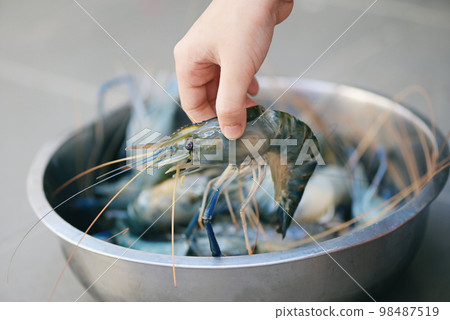 raw shrimps on hand child washing shrimp on bowl, fresh shrimp prawns for cooking seafood food in the kitchen or buy shrimps on shop at the seafood market 98487519