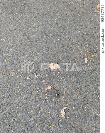 路上的落葉 98487755