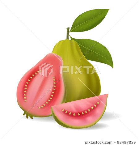 Green guava fruit 98487859