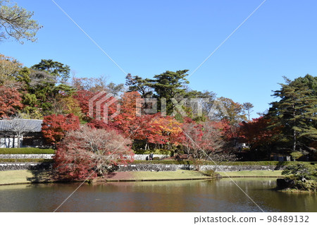 伊豆修善寺 虹之裡的紅葉 伊豆修善寺 虹之裡的紅葉 98489132
