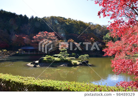 伊豆修善寺 虹之裡的紅葉 伊豆修善寺 虹之裡的紅葉 98489329