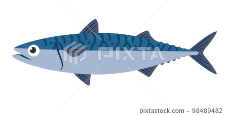 鯖魚插圖 98489482