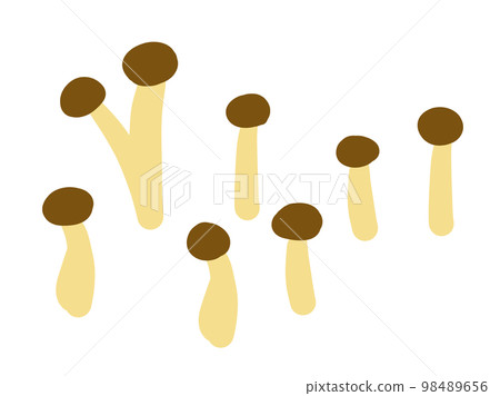 Set of cute mushroom shimeji / hand-drawn illustration material 98489656