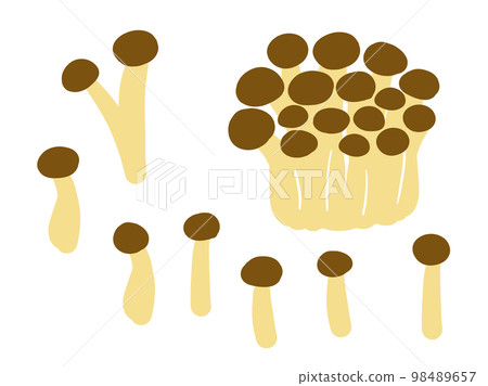 Set of cute mushroom shimeji mushrooms / hand-drawn illustration material / hand-drawn illustration material 98489657