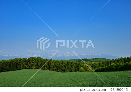 十勝達山 98490043