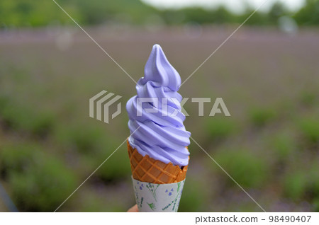 Hokkaido Furano Lavender Field Lavender Soft Serve Ice Cream Hokkaido Furano Lavender Field Lavender Soft Serve Ice Cream 98490407
