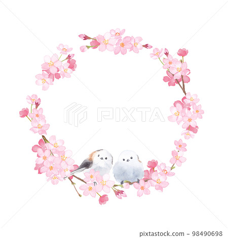 櫻花和兩隻小鳥 (naga) 的水彩插圖。彈簧圓框設計。 98490698