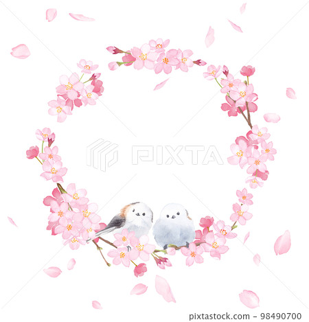 櫻花和兩隻小鳥 (naga) 的水彩插圖。彈簧圓框設計。 98490700