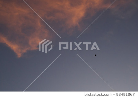 《Kyoto Prefecture》 Dawn on a sunny day, scenery of Kyogamisaki 《Kyoto Prefecture》 Dawn on a sunny day, scenery of Kyogamisaki 98491867