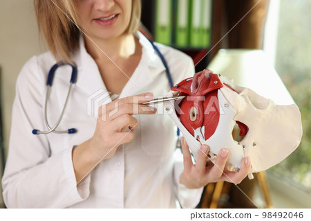 Doctor gynecologist shows location of female pelvis with muscles. Doctor gynecologist shows location of female pelvis with muscles. 98492046