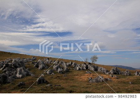 Shikoku Karst Karst Plateau and 1 Tree 98492983