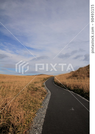 Shikoku Karst Karst plateau and wheat grass 98493155