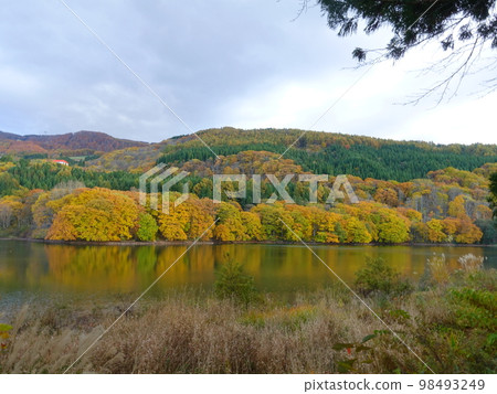 Shigenoya Chinuma 藏王溫泉 Zao Koyo Koyo Shigenoya Chinuma 藏王溫泉 Zao Koyo Koyo 98493249