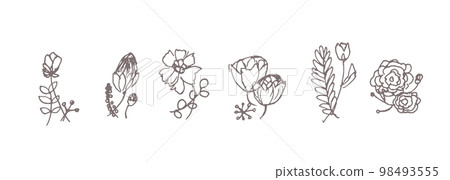 Hand-drawn botanical illustrations in dull colors, cute hand-drawn botanical illustrations. Botanical line drawing illustration. 98493555