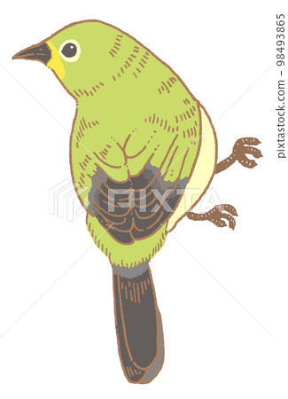 日本白眼的插圖素材 日本白眼的插圖素材 98493865