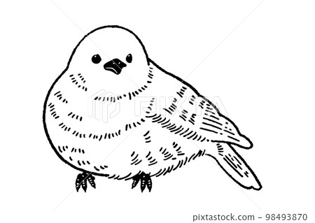 Line drawing illustration material of a small bird Line drawing illustration material of a small bird 98493870