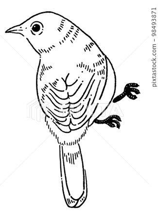 Line drawing illustration material of a small bird Line drawing illustration material of a small bird 98493871