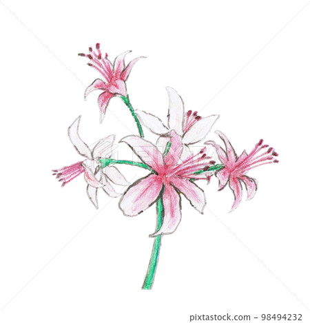 Material (flower) 98494232
