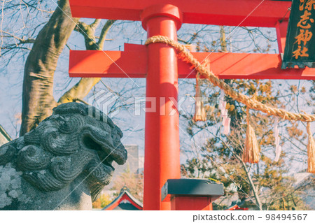 [Fukashi Shrine] Komainu and Torii [Matsumoto City] 98494567