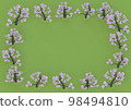 Image of a meadow surrounded by cherry blossoms in full bloom 98494810